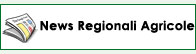 News Regionali